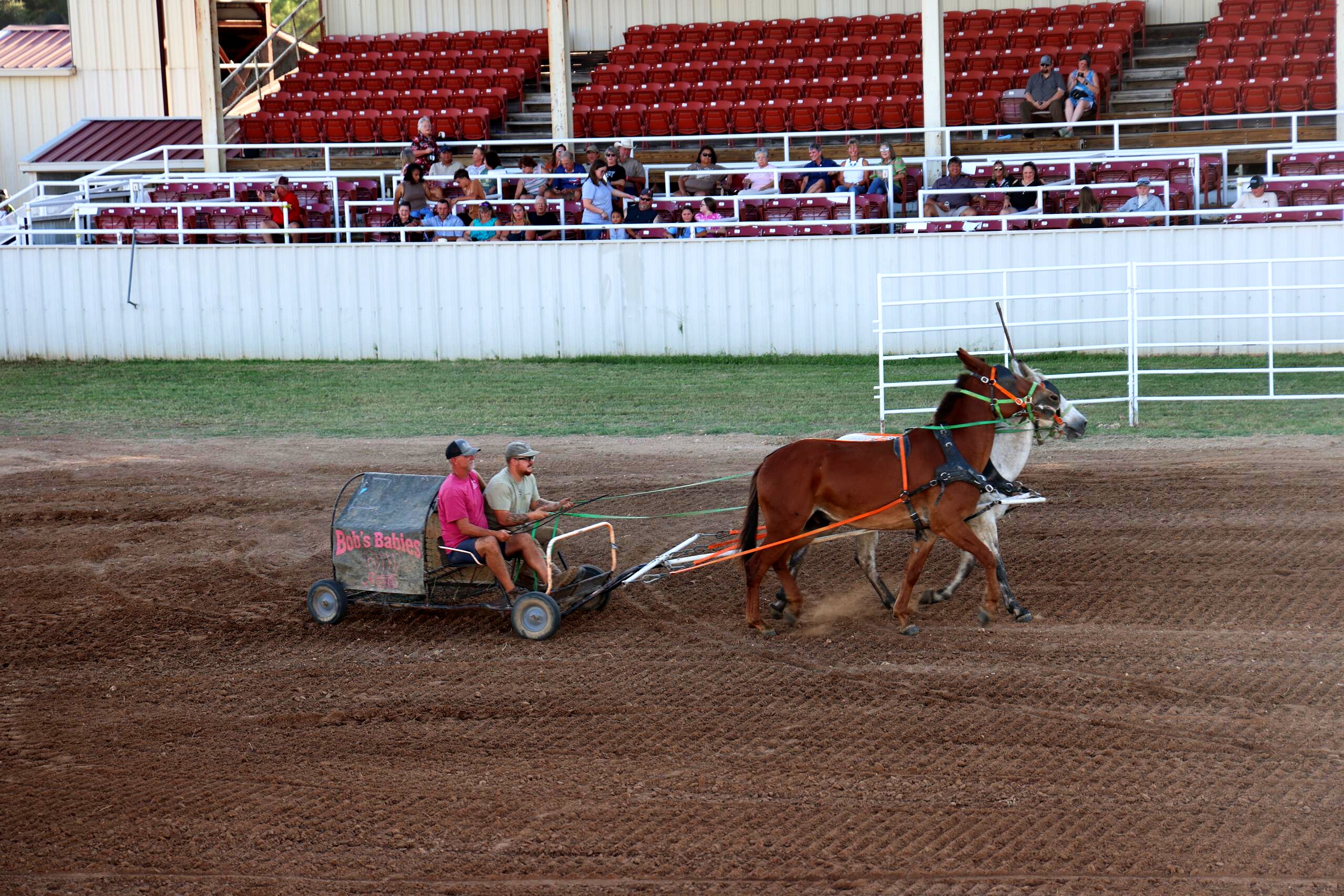 Horse team pulling a small wagon around a dirt arena