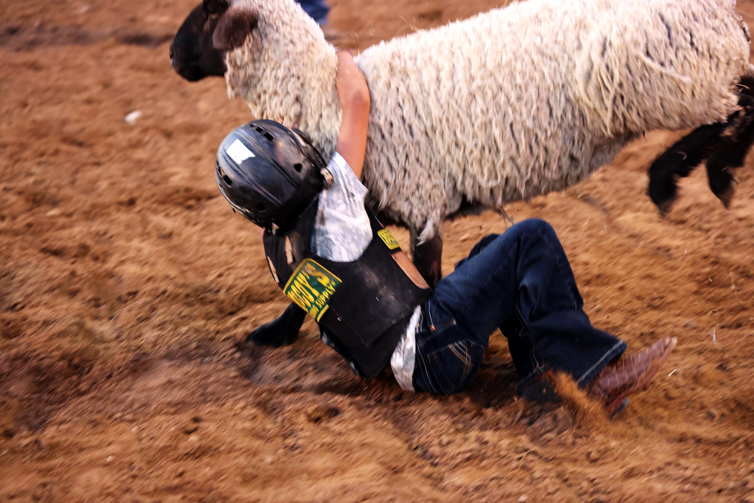 Young rider falling into the dirt during a mutton busting ride
